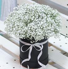 Цветочная композиция из Гипсофила в шляпной коробке #REPLACE_PRED# Большой Мартыновке