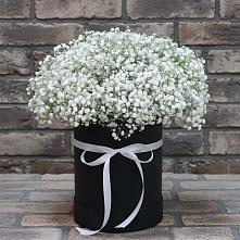 Цветочная композиция из Гипсофила в шляпной коробке в Большой Мартыновке