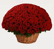 Премиум букет из: Розы в Большой Мартыновке